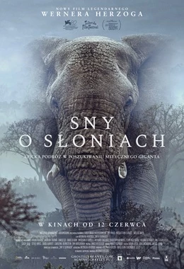 Sny o Słoniach (Kultura)