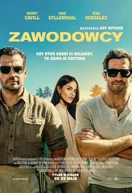 Zawodowcy (Kultura)