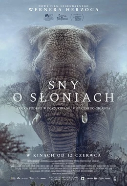 Sny o słoniach (Rejs)