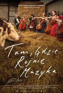 Tam, gdzie rośnie muzyka (Kultura)