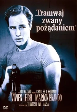 Tramwaj zwany pożądaniem (Kultura)