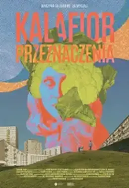 Replika 51. FPFF w Gdyni: Kalafior przeznaczenia + spotkanie z reżyserką